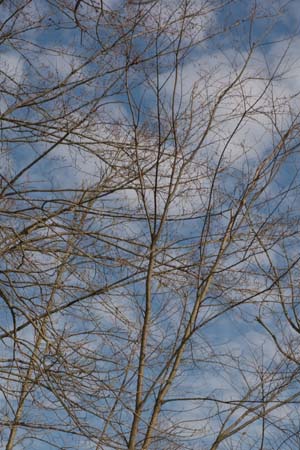 018_bonneyville_mill_and_nislys