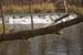 064_bonneyville_mill_and_nislys