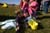 easter09_18