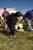 easter09_34