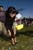 easter09_35