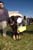easter09_36
